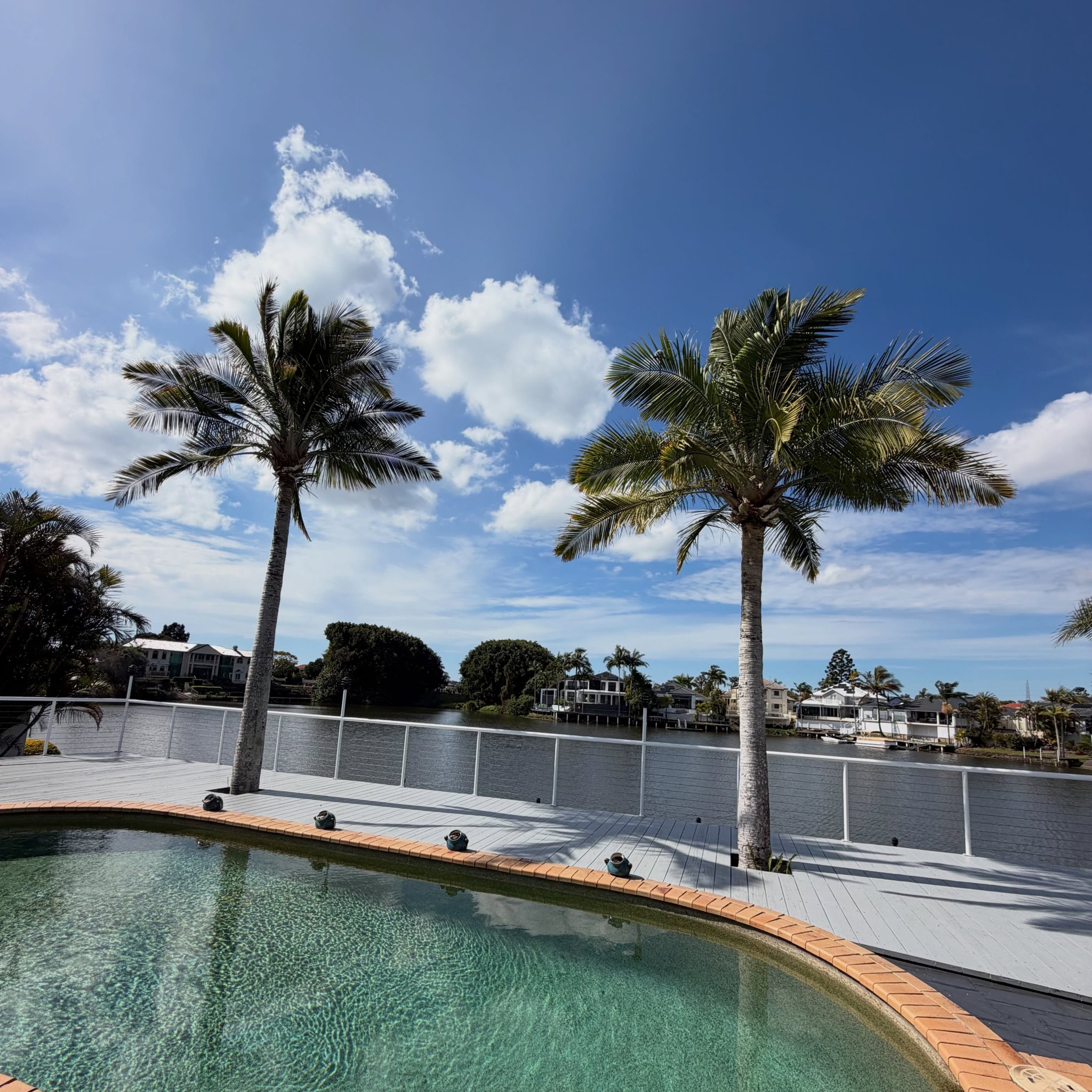 Two tall palms beside a canal-front pool on the Gold Coast