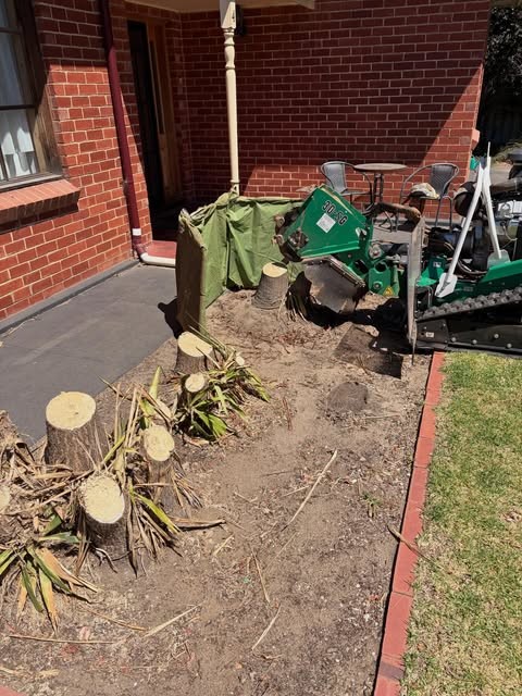 Tracked stump grinder beside a brick house with palm stumps cut down