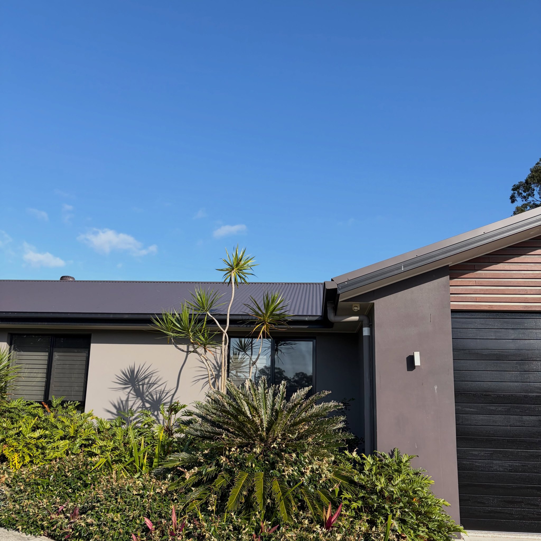 After: the same house with the palm removed and the garden cleaned up