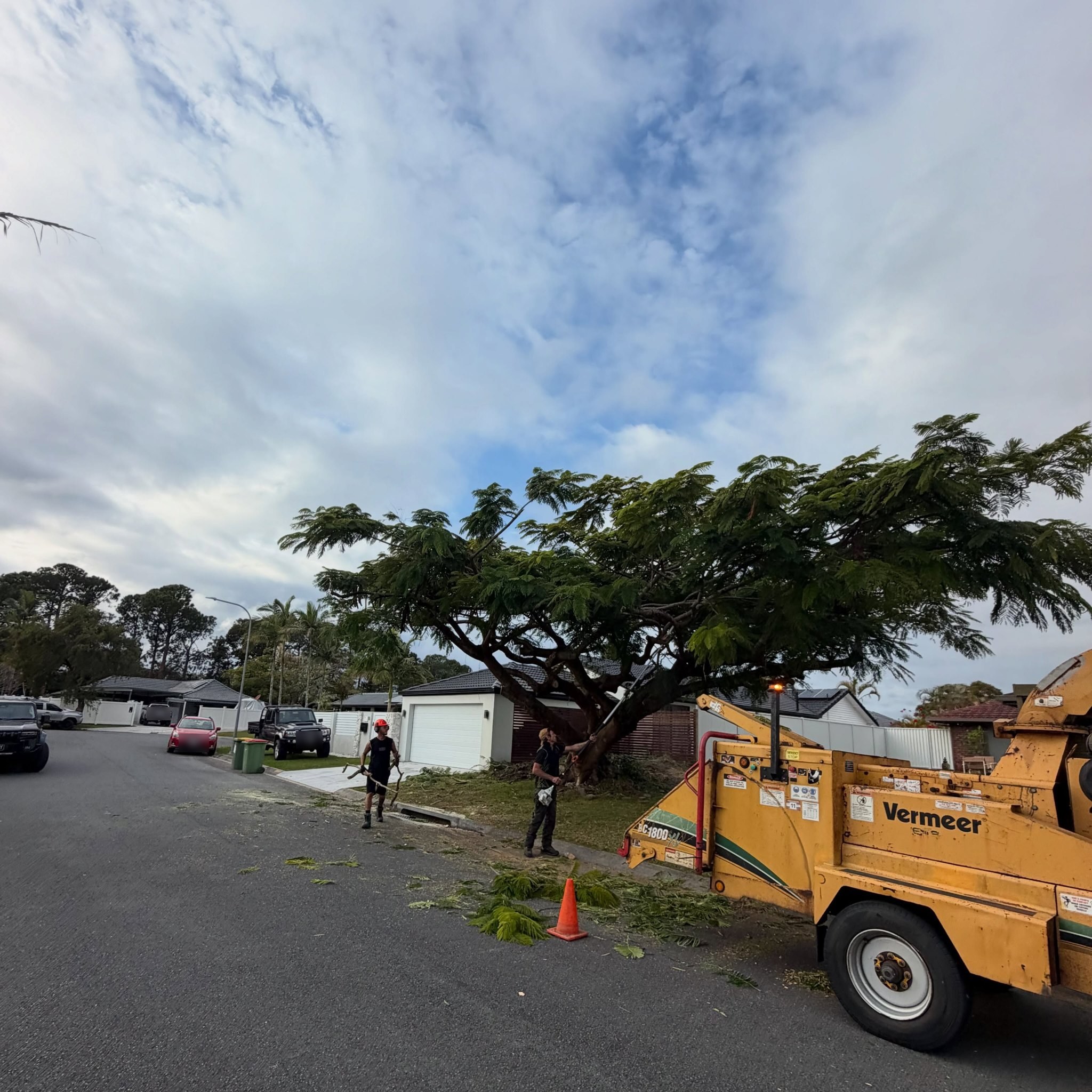 Tom’s crew feeding branches into a Vermeer wood chipper on a suburban street